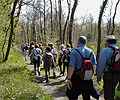 En longeant la limite ONF vers la Route des Essences