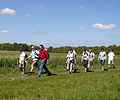 Sur le Chemin de Grimery,  proximit de l'arodrome de Buno-Bonnevaux