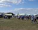 Les stands