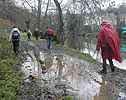 Le long de l'Yerres, attention o vous mettez les pieds ! - La Fresnaie
