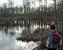 La Mare aux Eves