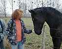 Josette fait concurrence  Maryvonne - la Petite (ou Grande ?) Vacherie