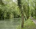 Le long du Canal Latral du Grand Morin