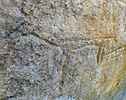 Gravure zoomorphe