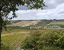 Irancy